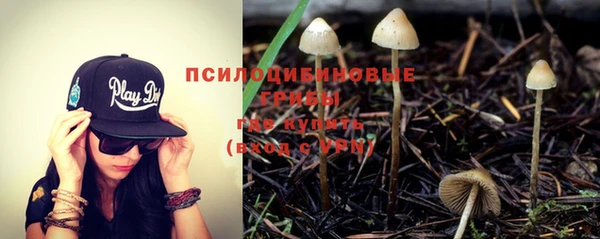 круглые Алексеевка